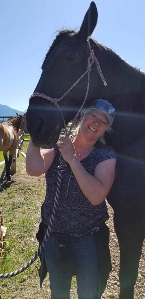 A beautiful FriesIan named Duchess in Montana