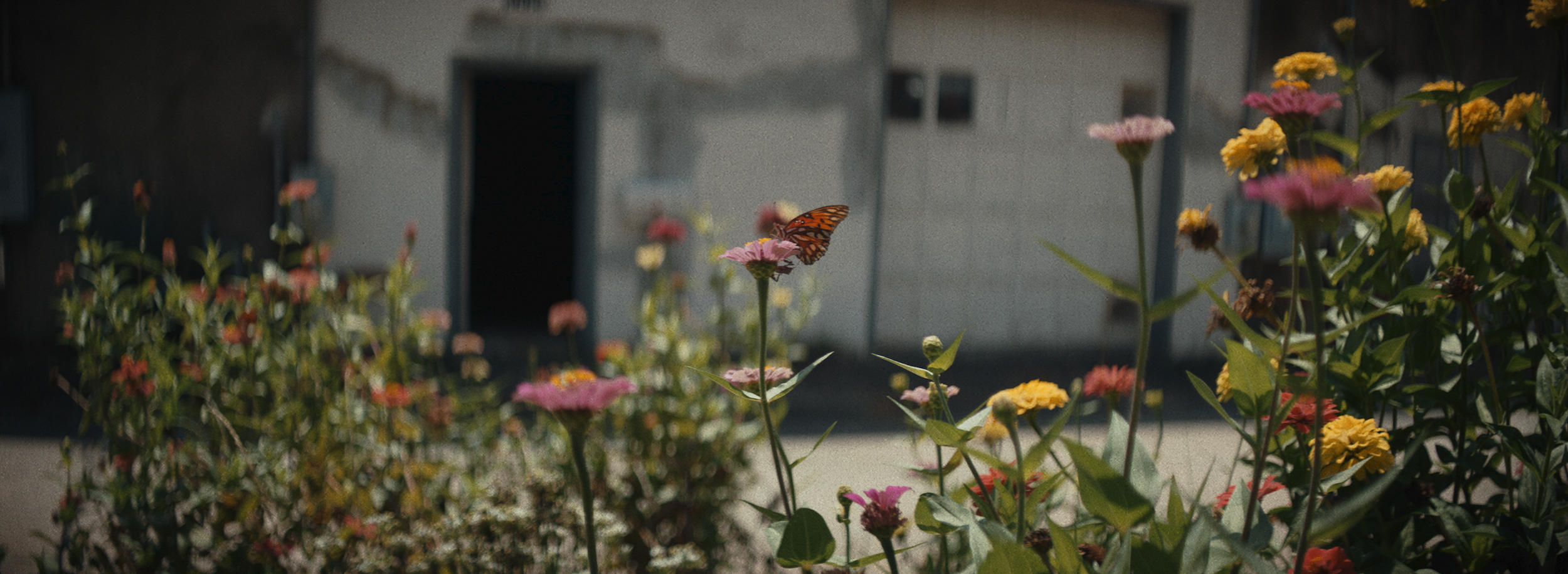 Screen Shot 2023-08-31 at 11.09.26 PM.PNG