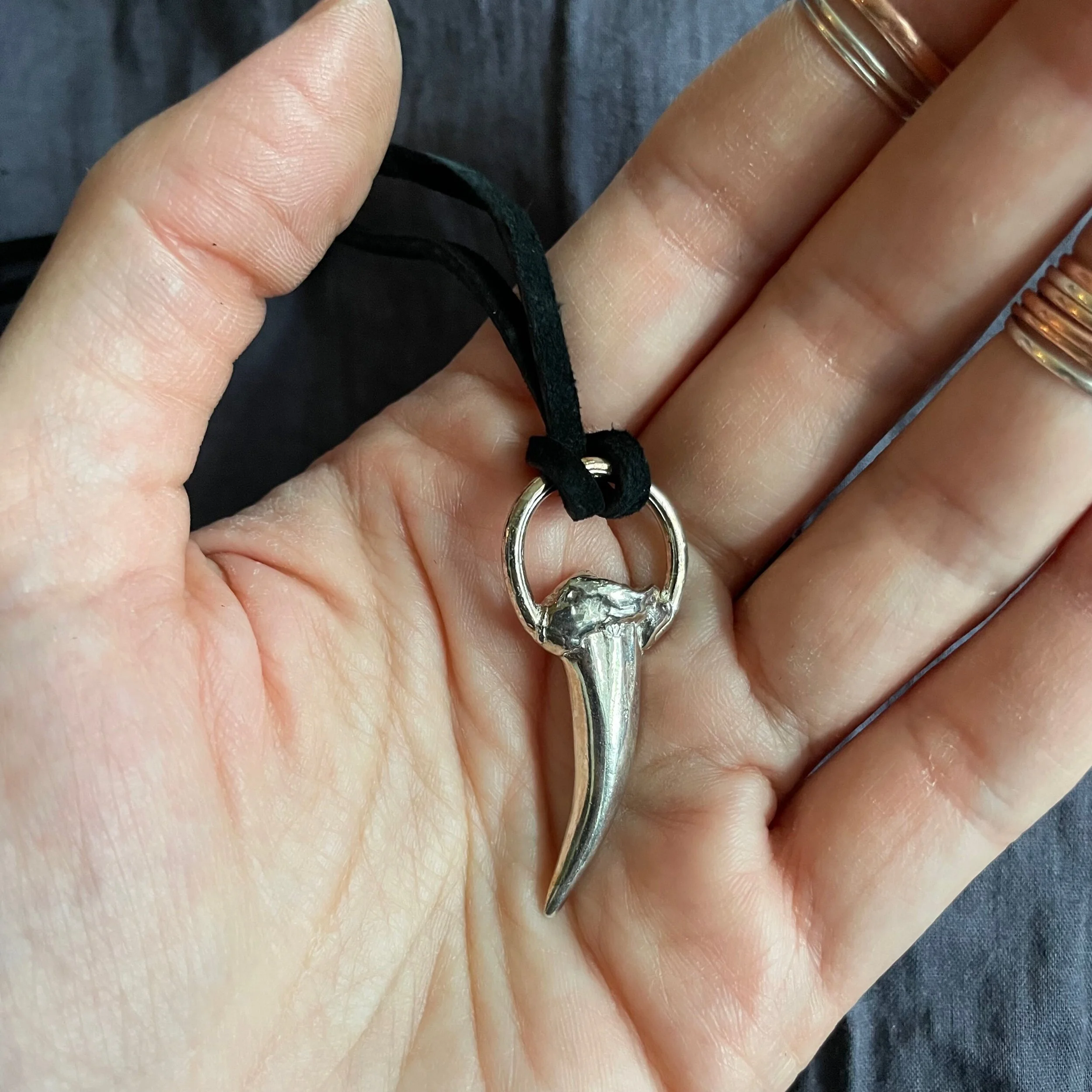 F9FC69B8-B3D9-4D55-A676-1B9EE2780EA5