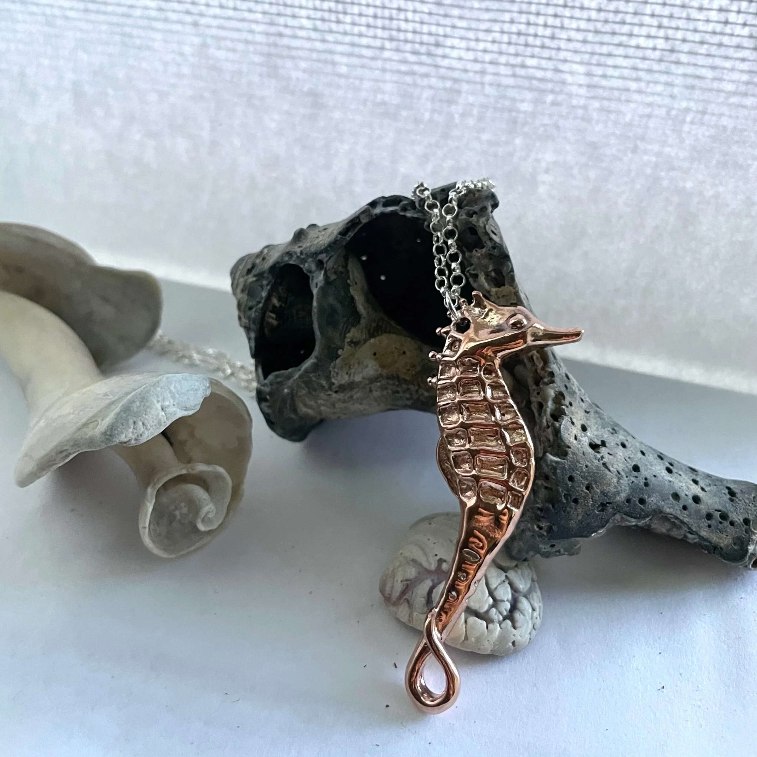 DDBB749C-042B-4757-86C2-DC67A7FF32D0