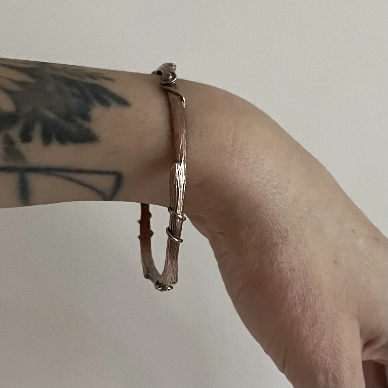 0C1F5221-12B7-40EC-A026-FF418644A119