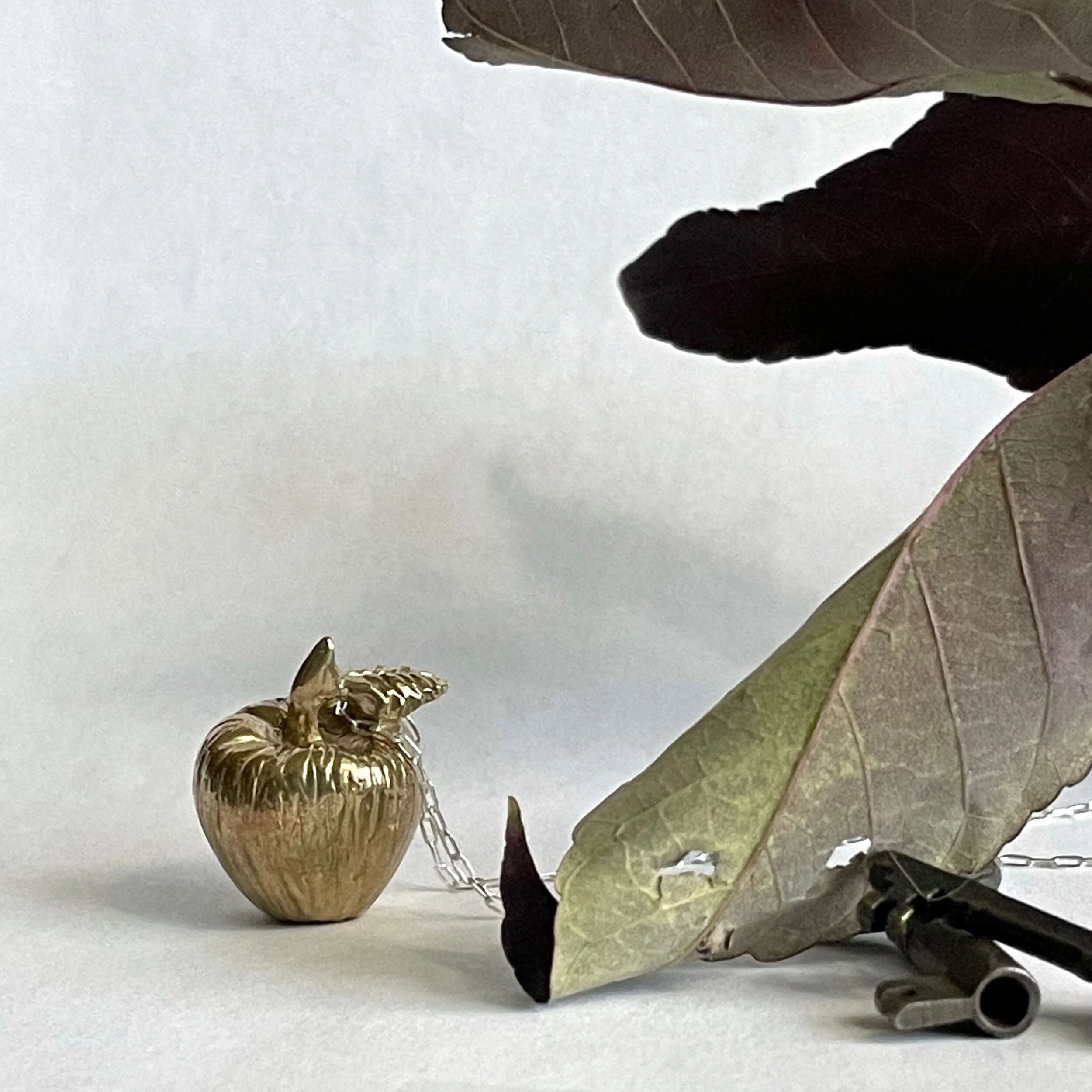 5BA66B58-022E-4B3A-9A23-1A206336EB9F