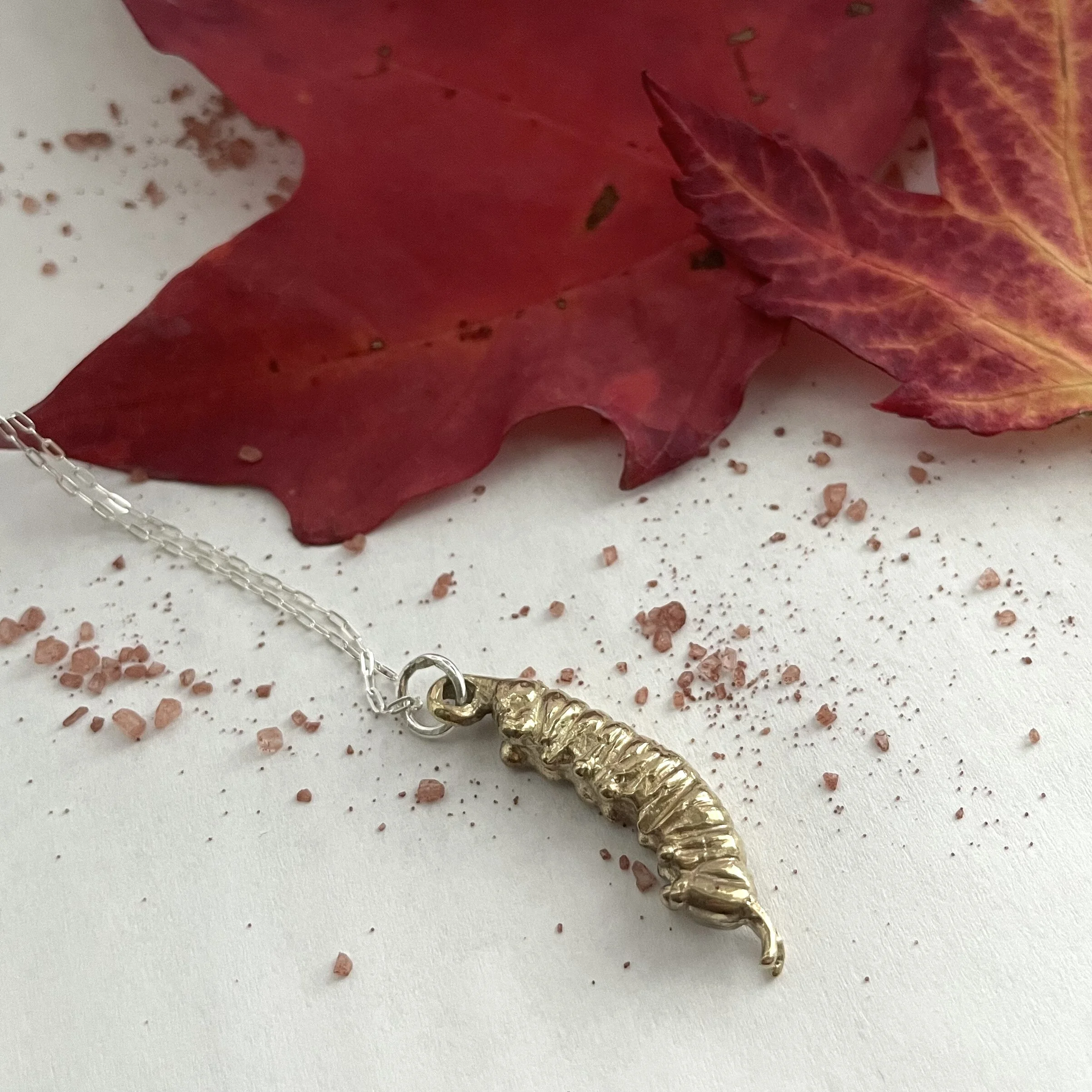 46A7037B-FD55-4424-AB95-DD8B1B080461