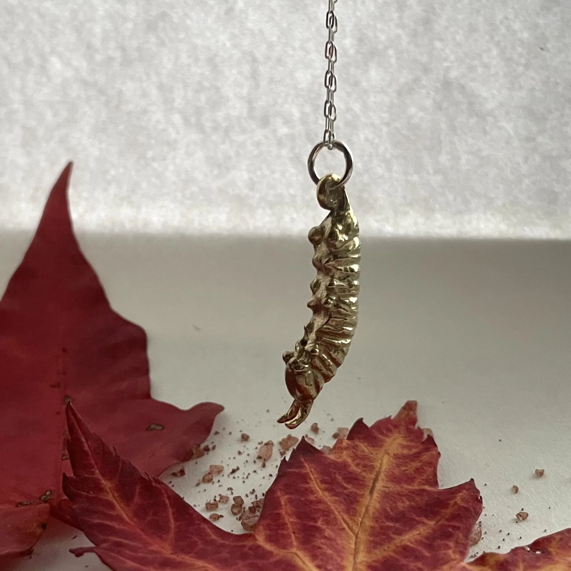 CF54E5E5-4955-41E2-9637-A0FF248A0DC4