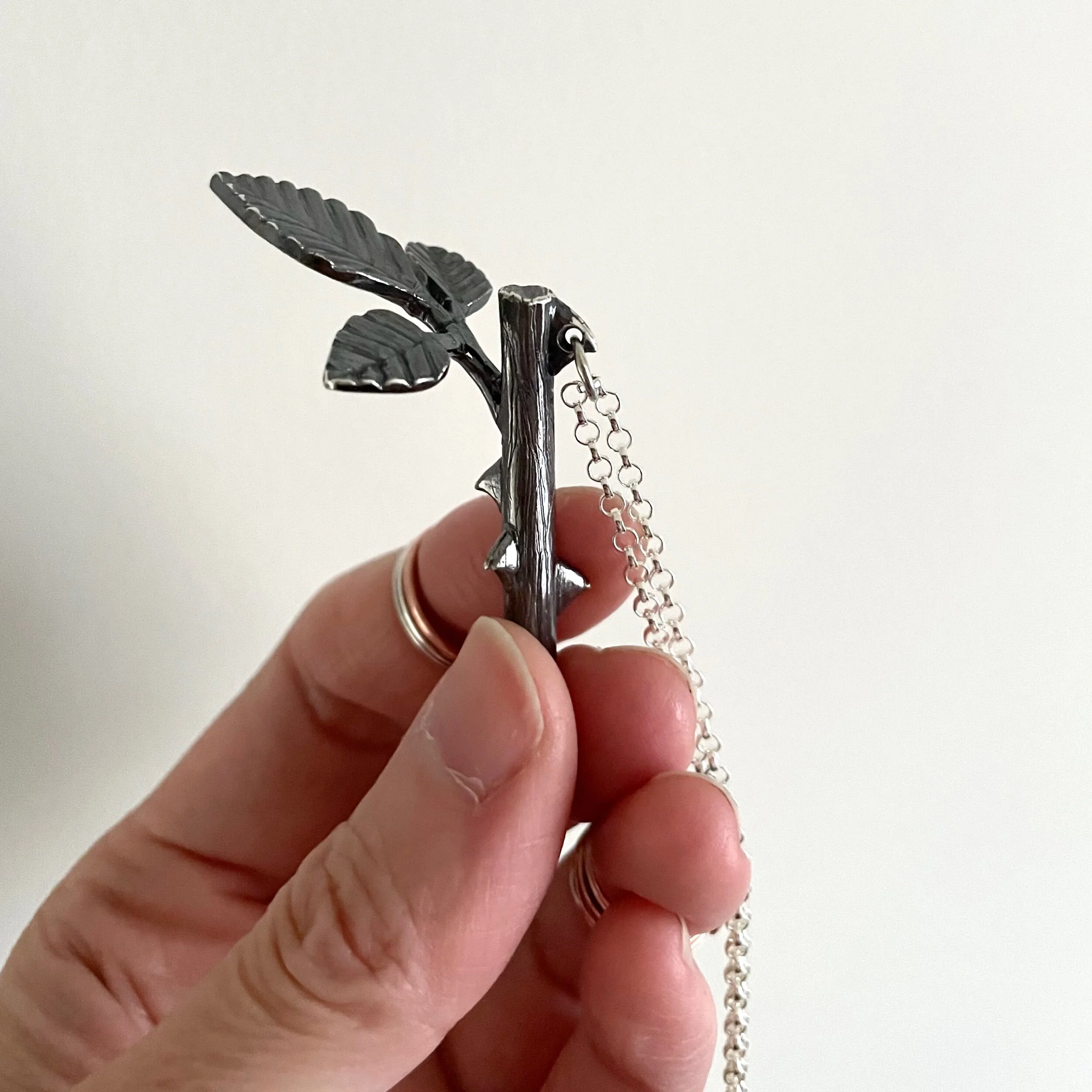 464B0818-85E8-4D4A-AA12-01424B92462B