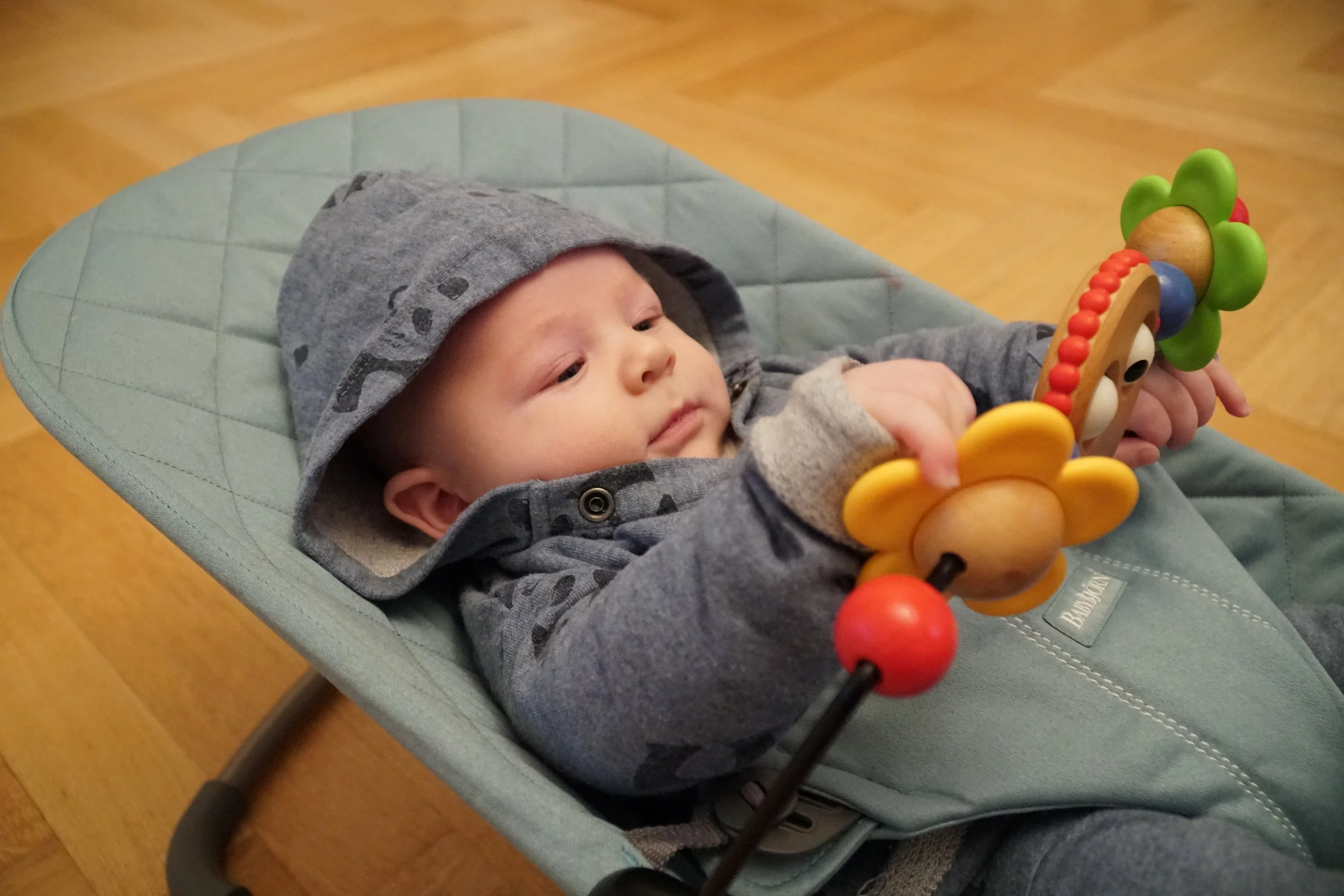 Die BabyBjörn Babywippe Bliss im Alltagscheck