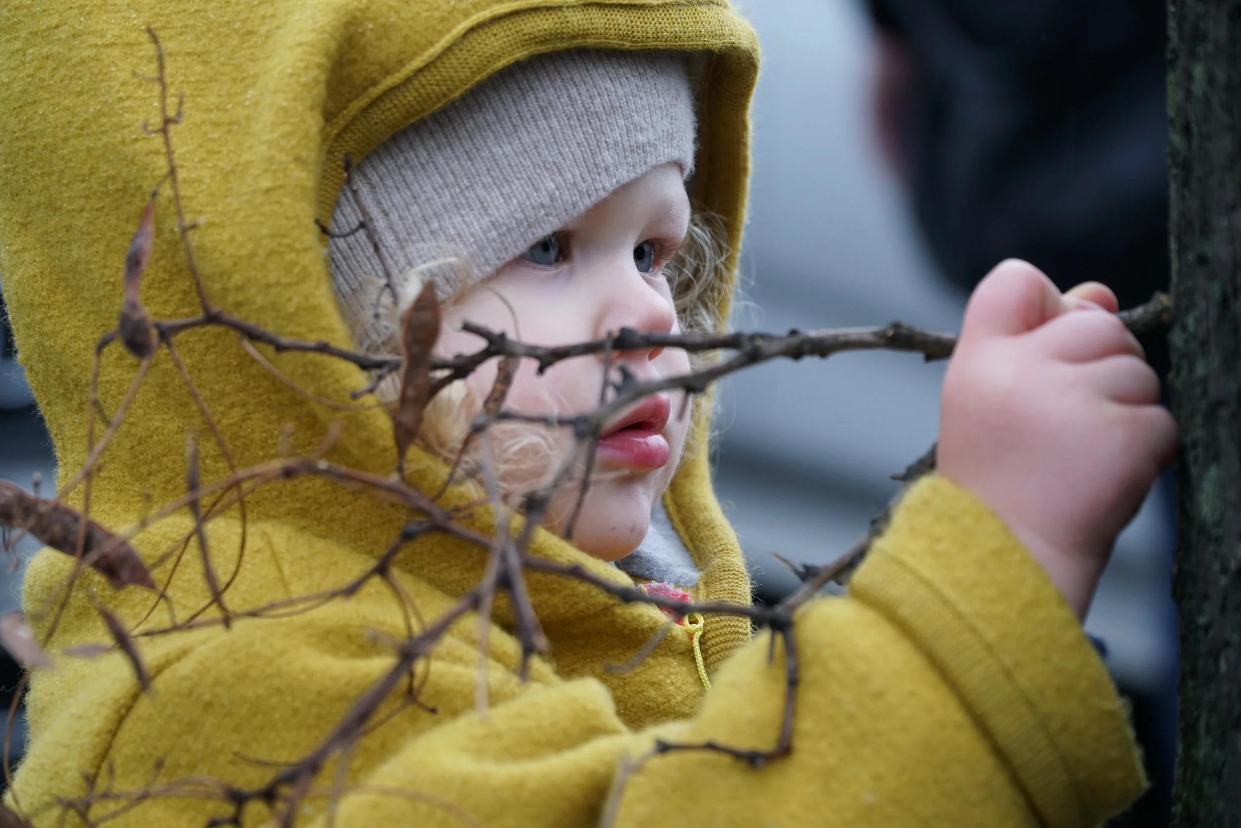 Neues Jahr, neue Kita...