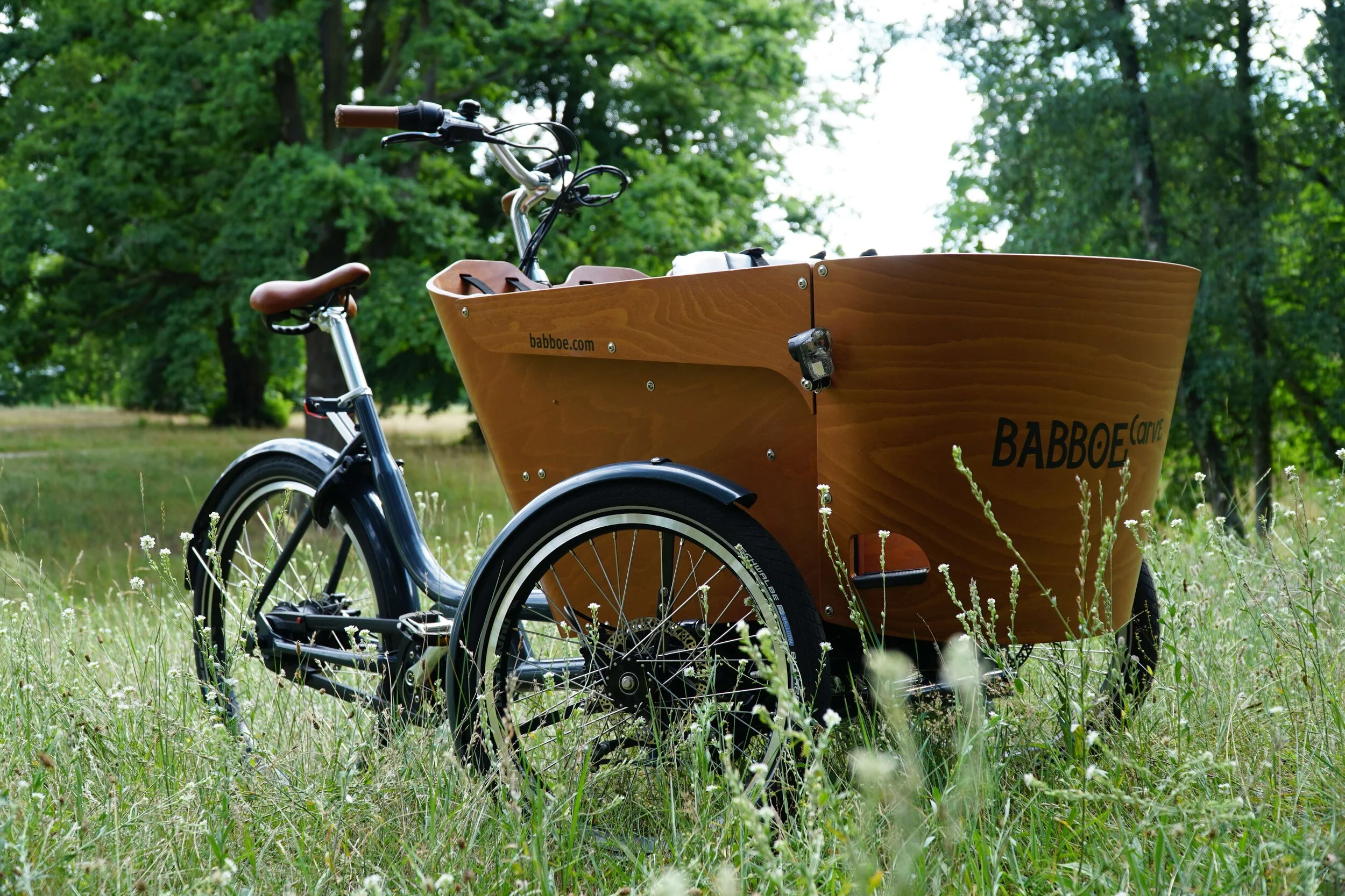 Das Babboe Carve Mountain im Detail