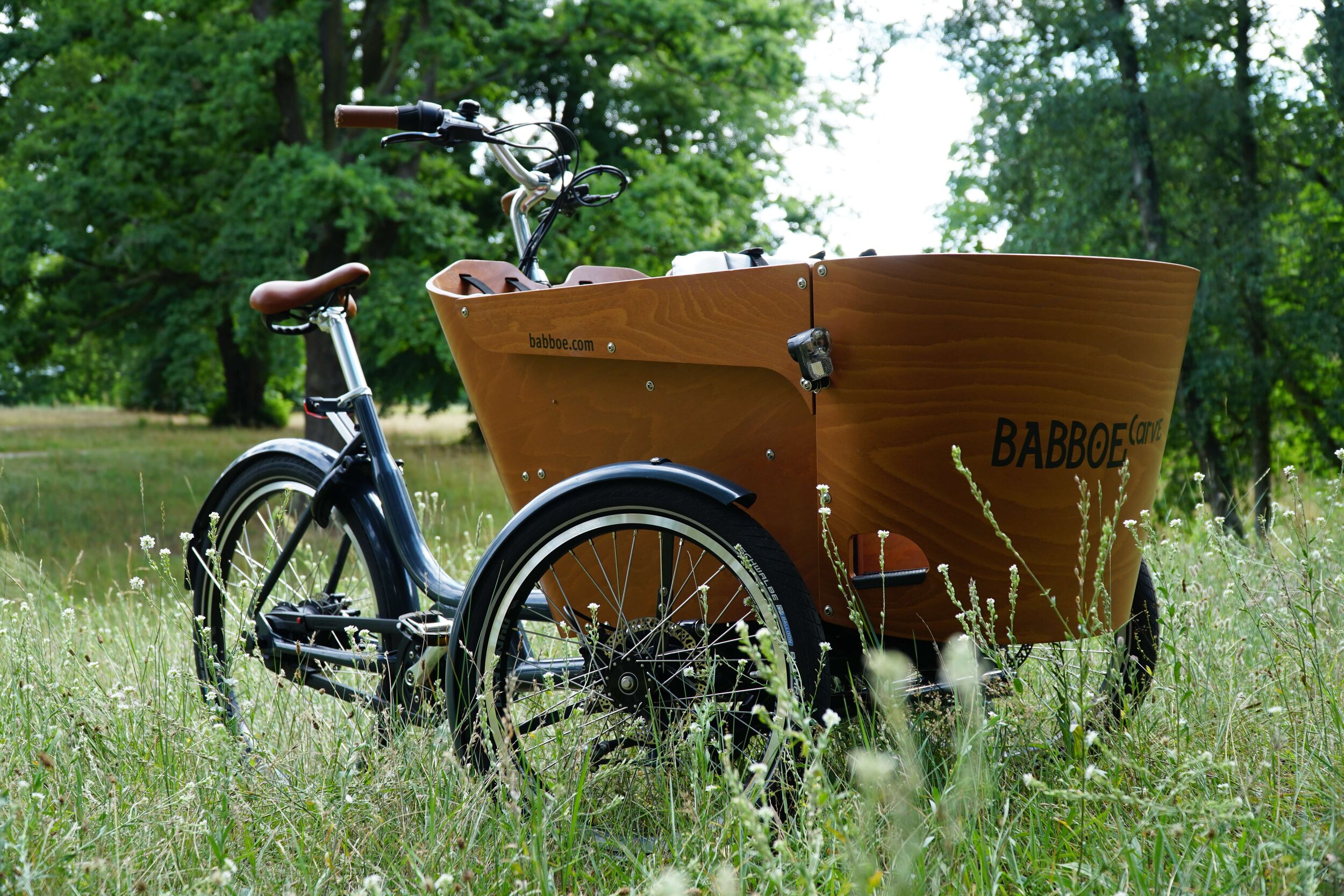 Das Babboe Carve Mountain im Detail