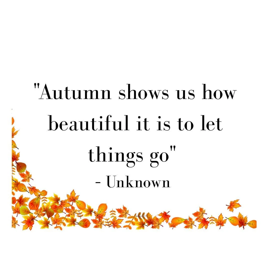 &quot;Autumn shows us how beautiful it is to let things go.&quot; - Unknown

#declutter
#tidyup
#LAhomeorganizer
#homeorganizer
#laprofessionalhomeorganizer
#tidyuplosangeles
#konmariconsultant