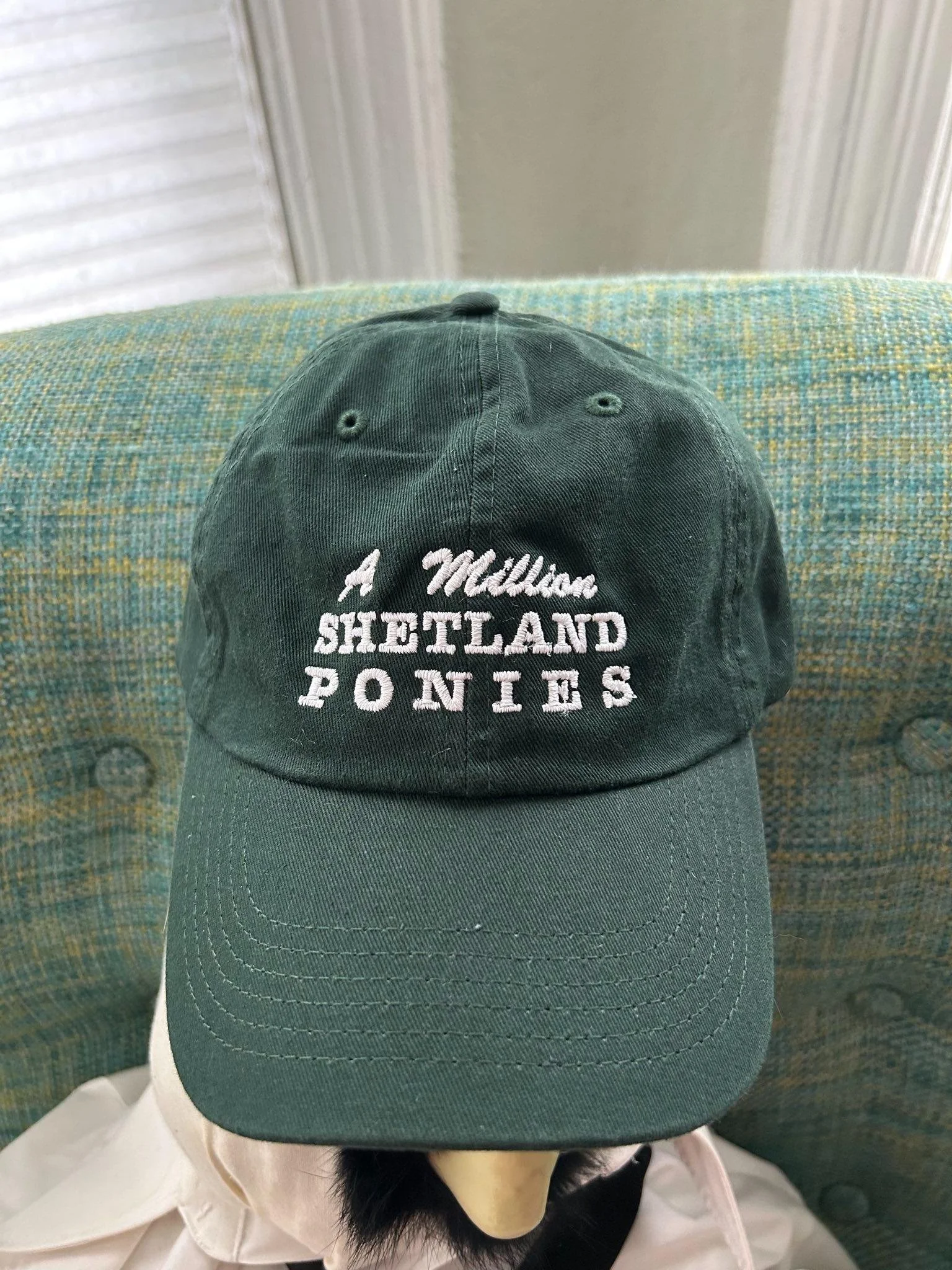 green maxwell front.jpeg