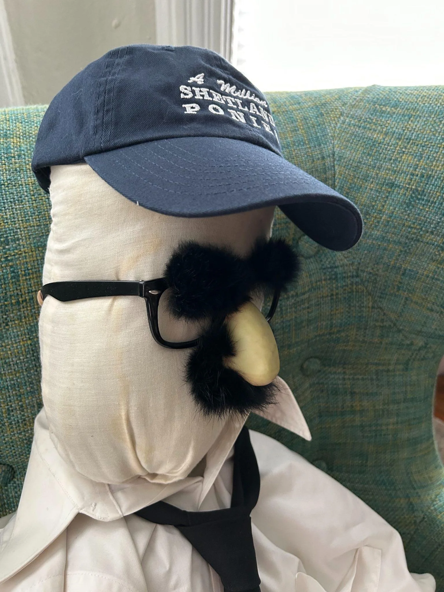 navy maxwell side two.jpeg