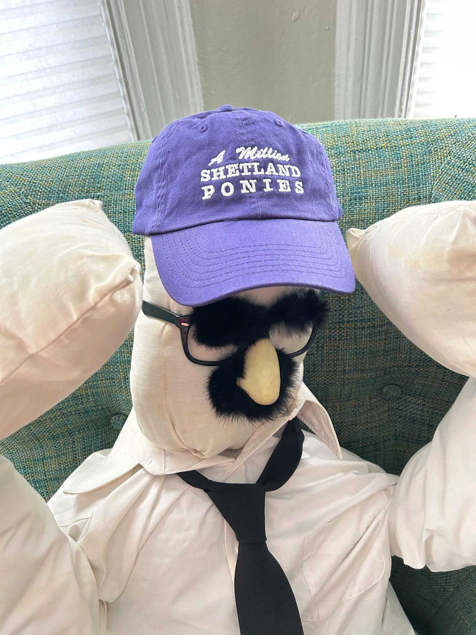 purple maxwell pose.jpeg