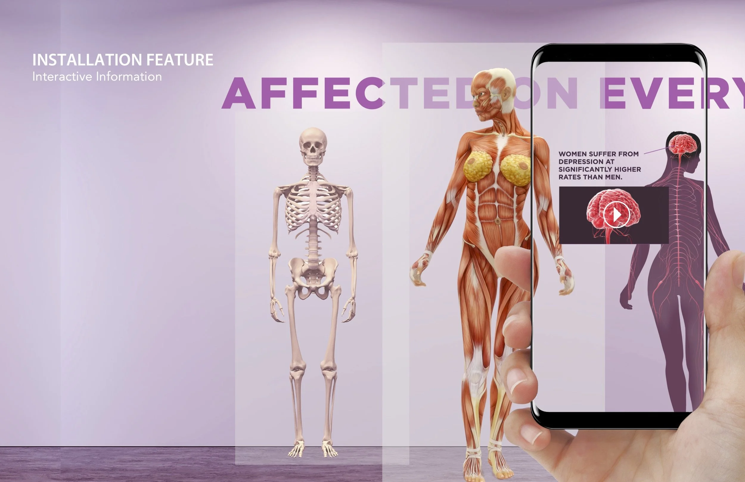 Installation 3: A series of life-size panels depicting the body’s different anatomical systems. AR technology will bring each to life, highlighting all of the ways within these systems that men’s and women’s bodies function, react, and present thems…