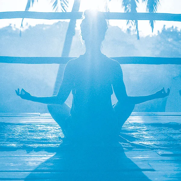 Wellness-light.jpg
