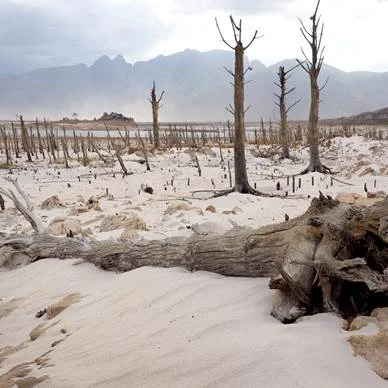 Solving Climate Change: A Climate Justice Perspective with Karen Warner Nelson