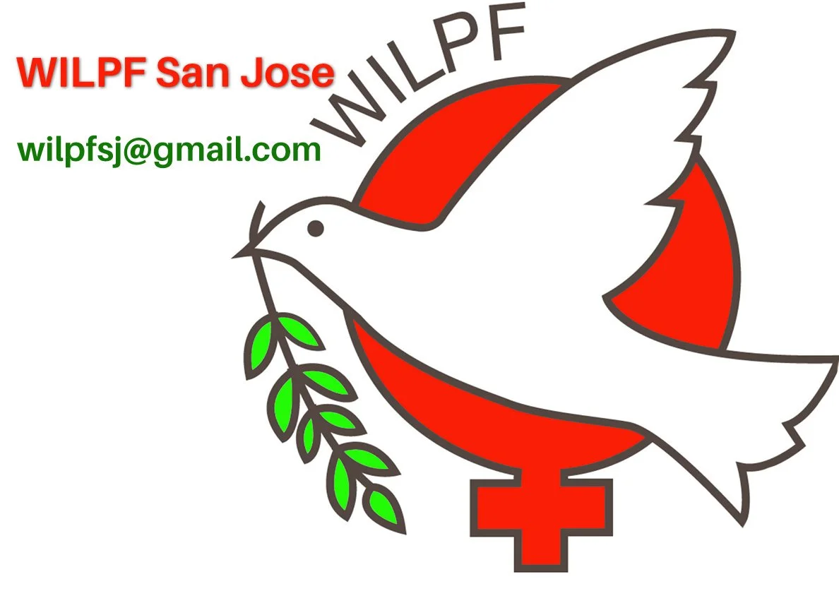 Deep Dive into What Matters to SJ WILPFers July 18 7 PM