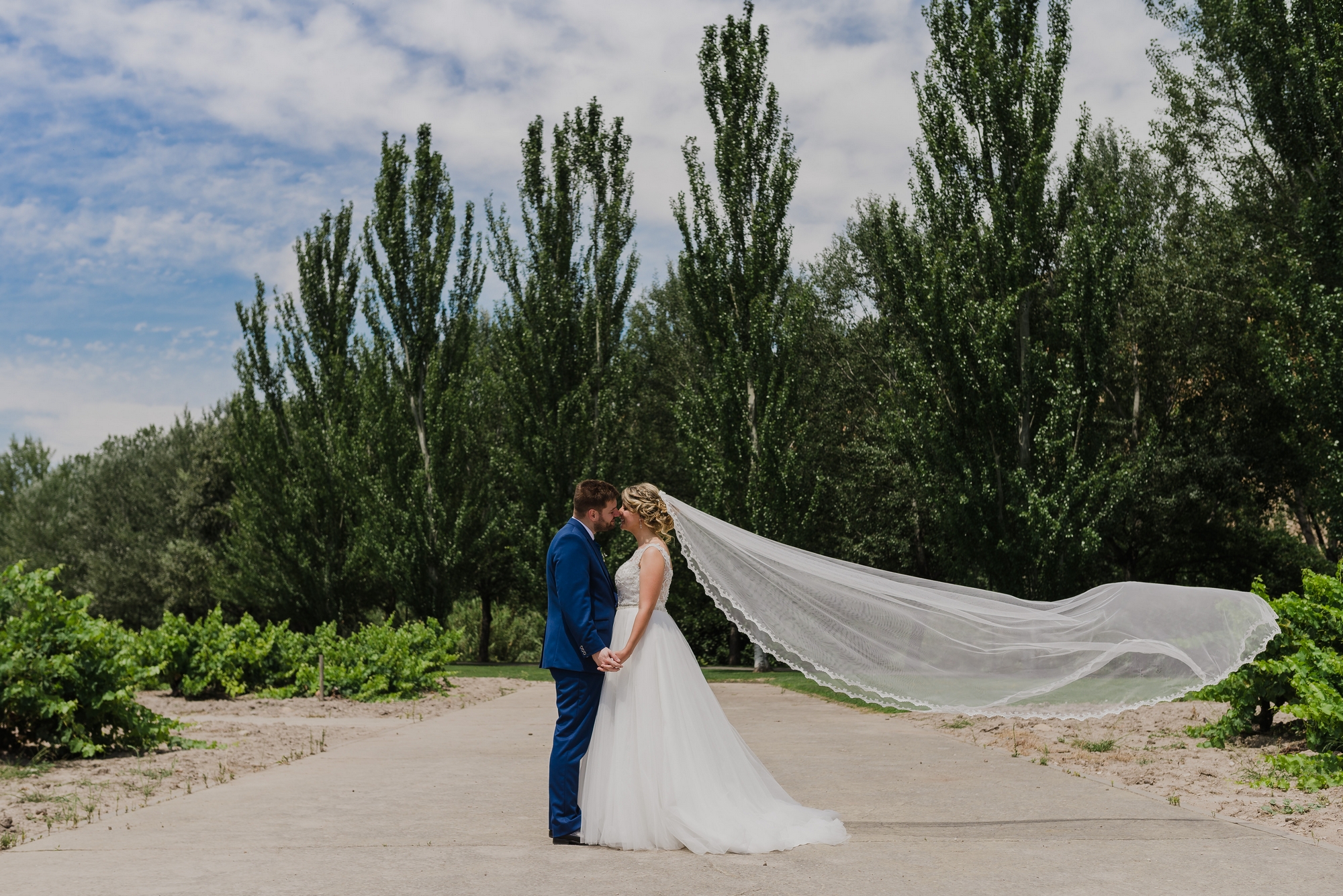 pareja novios postboda retrato parque ebro logroño