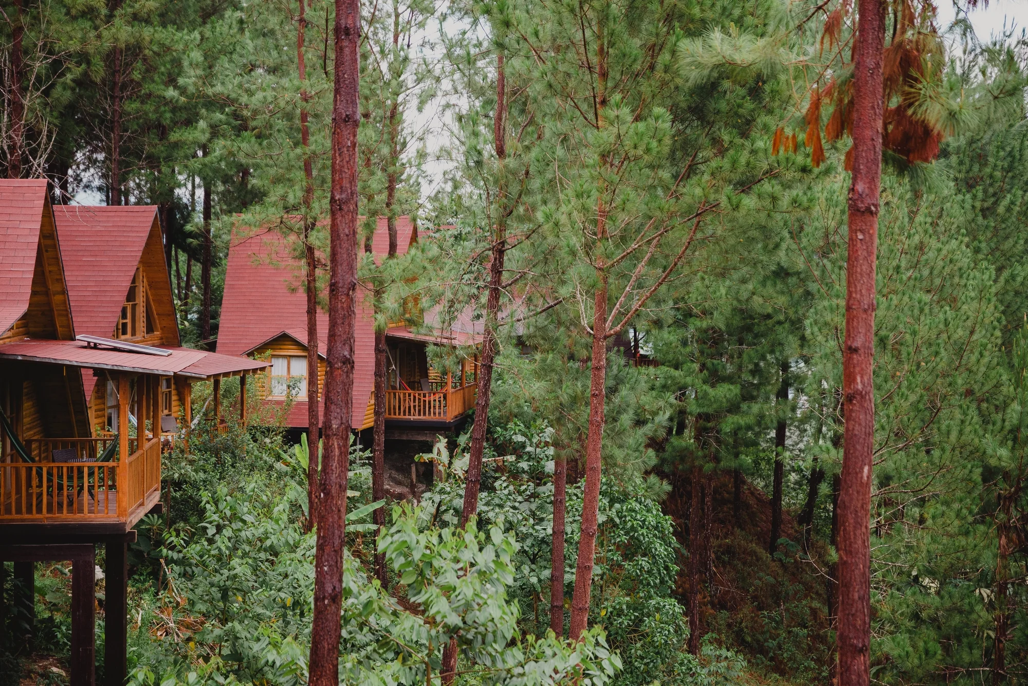 cabañas en oxapampa hotel
