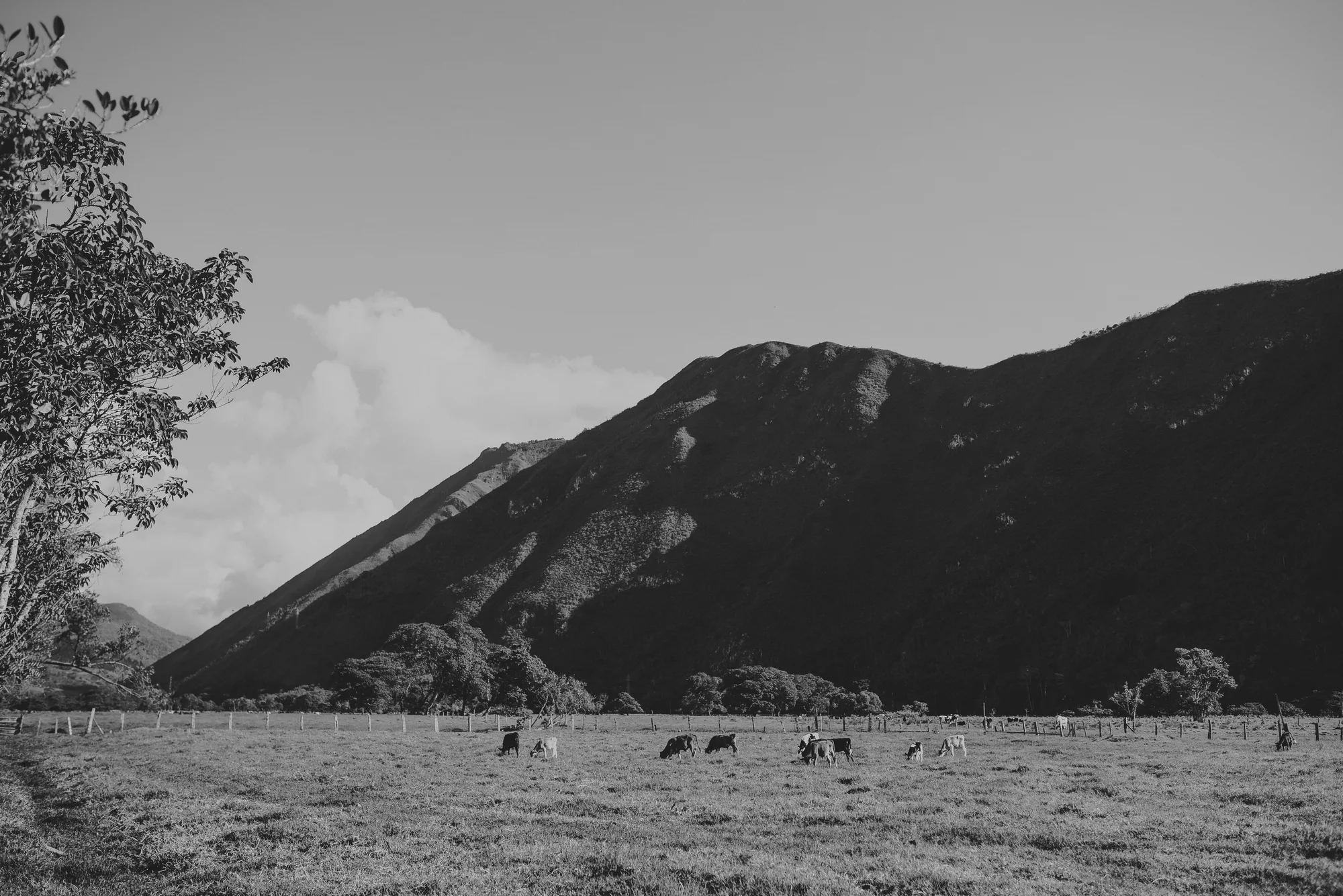 paisaje de oxapampa en la boda rancho ruffner