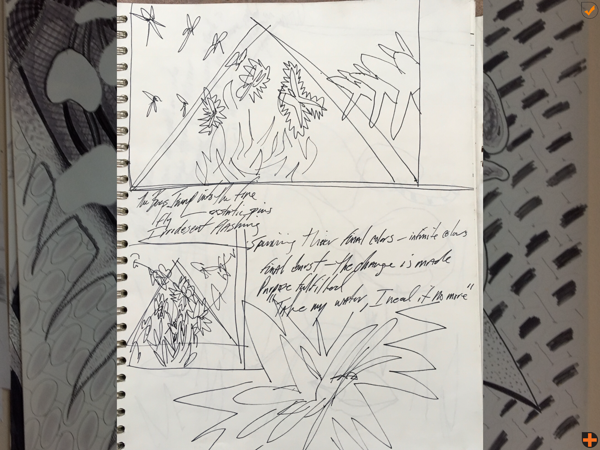 IMG_1365.PNG