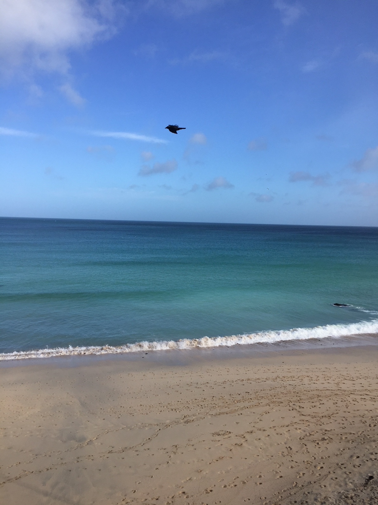 Holidays are for life, not just for summer