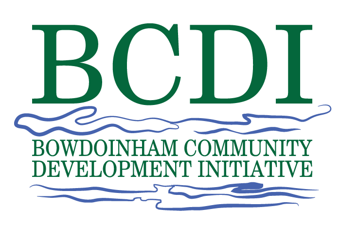 NEW BCDI Logo.png