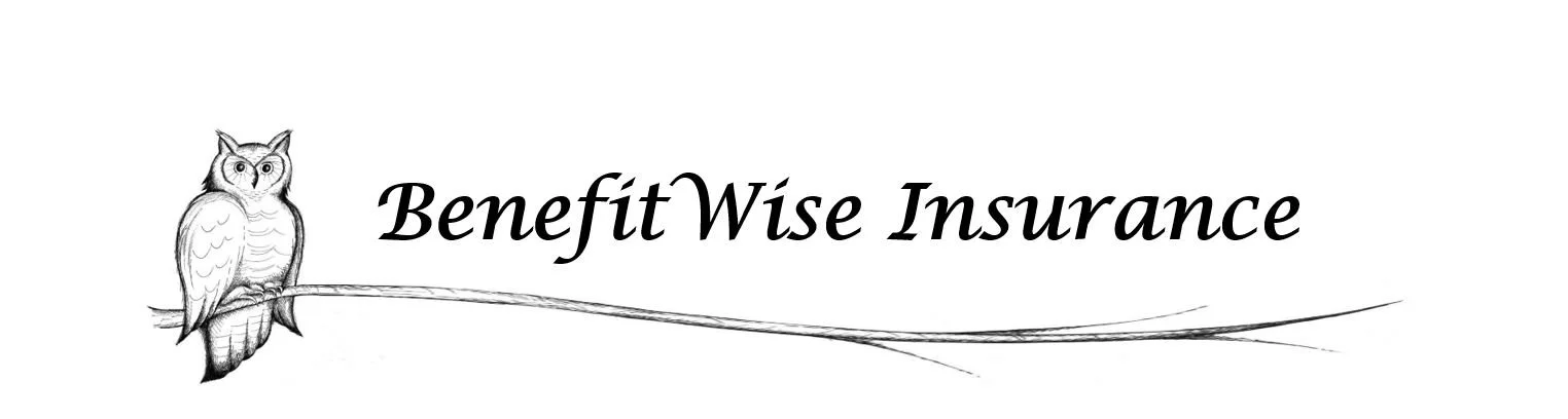 Owl logo banner long.jpeg