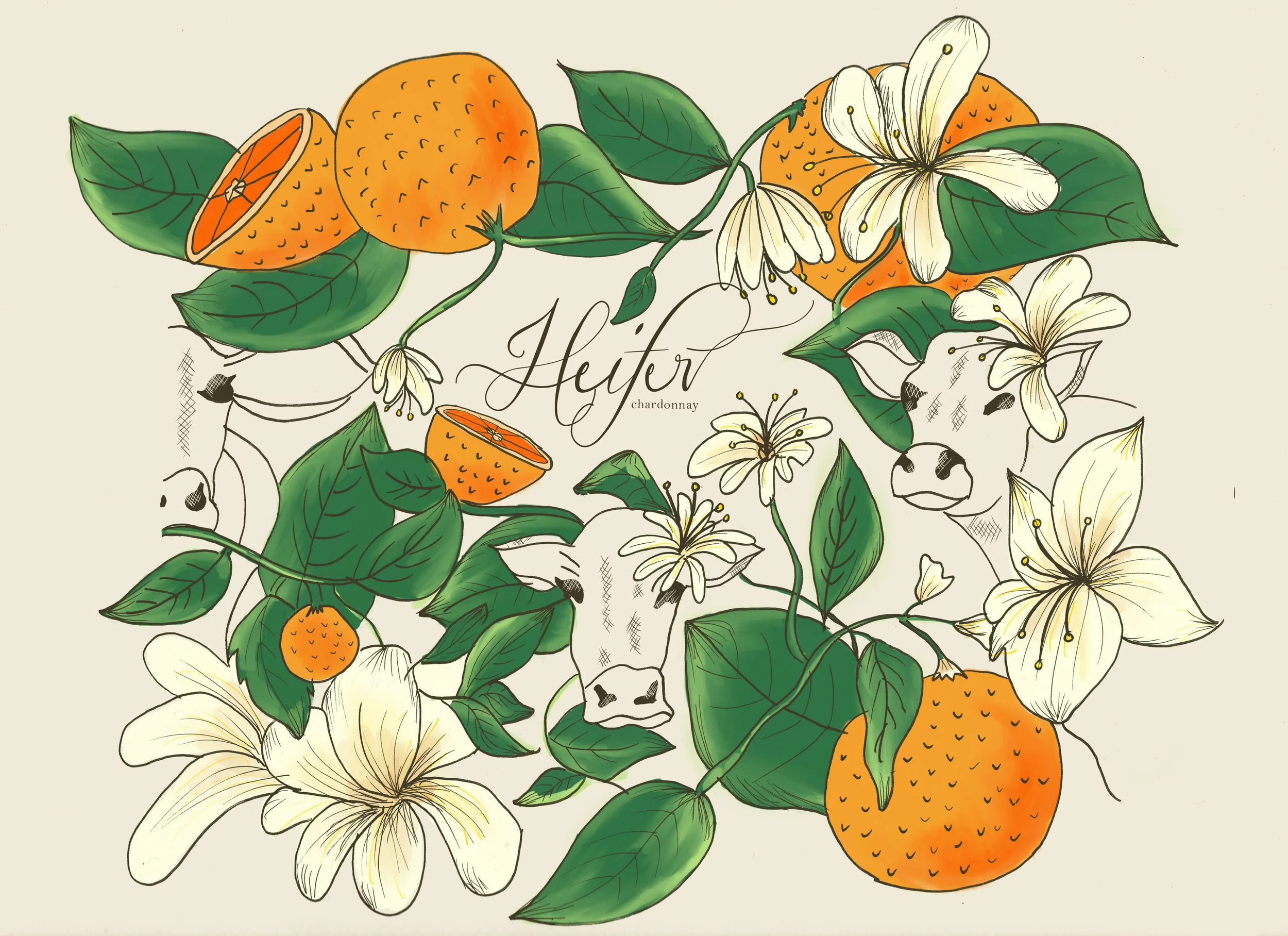 heifer_wine_label_chardonnay 3.jpg