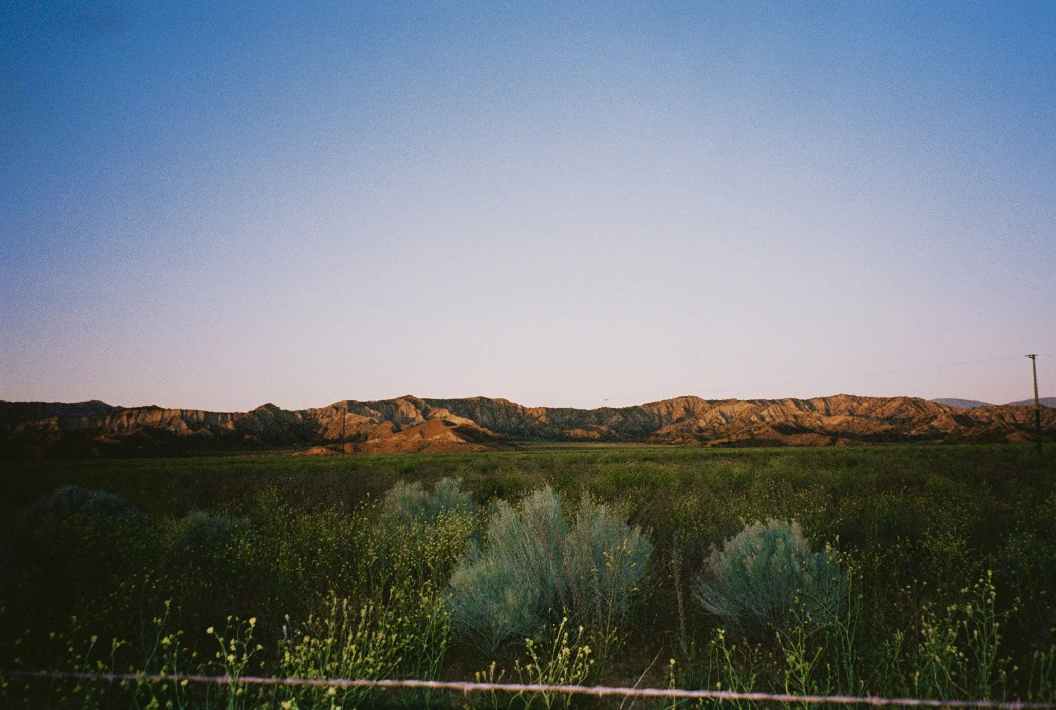 roll1_131778pj000908-r1-021 4.jpg