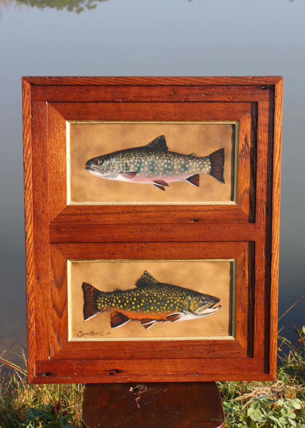 Female & Male Brook Trout