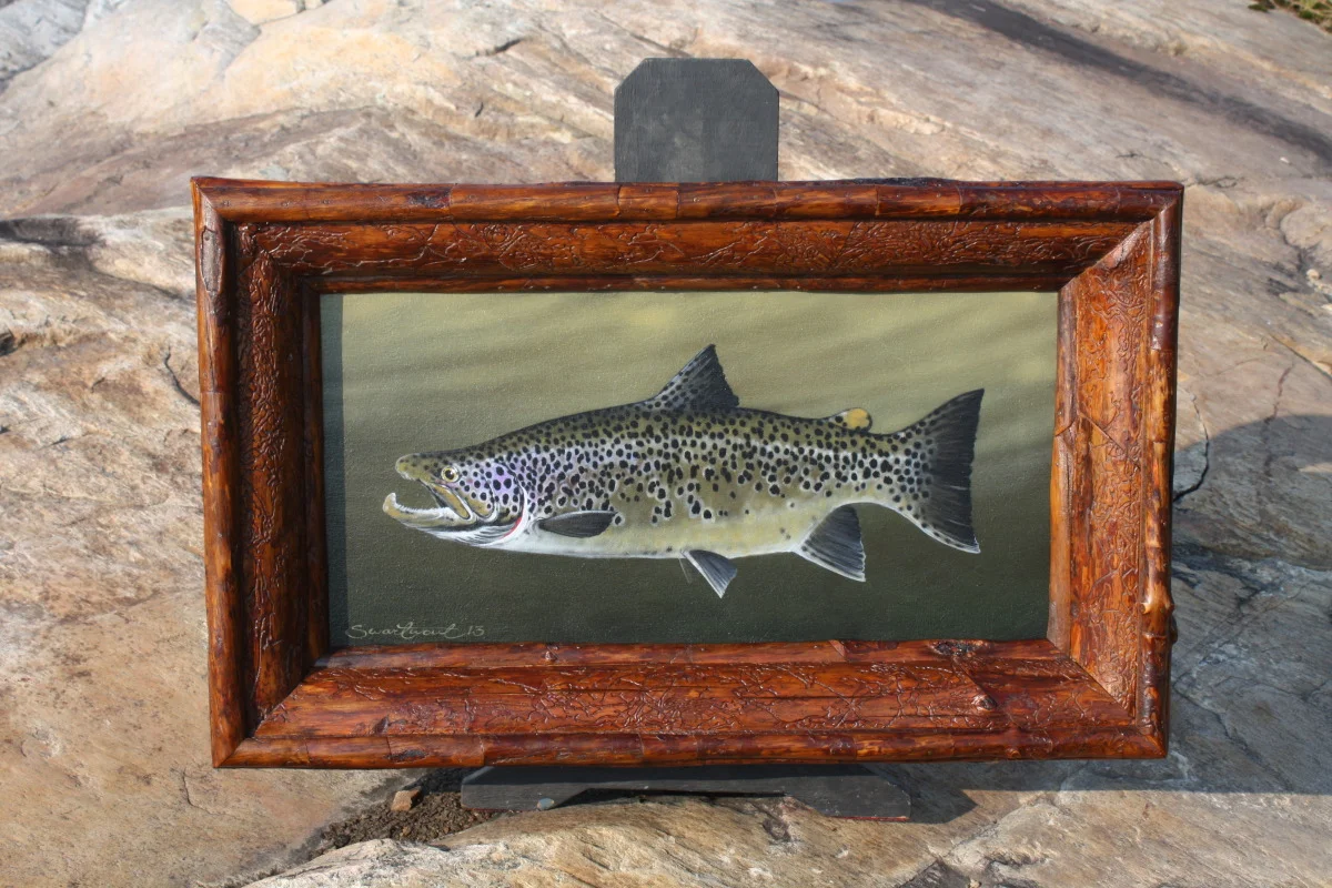 C.Stile's Landlocked Salmon