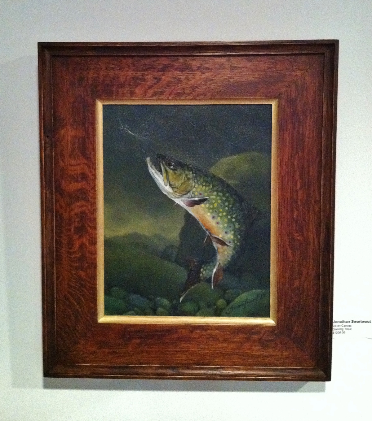 Dancing Trout