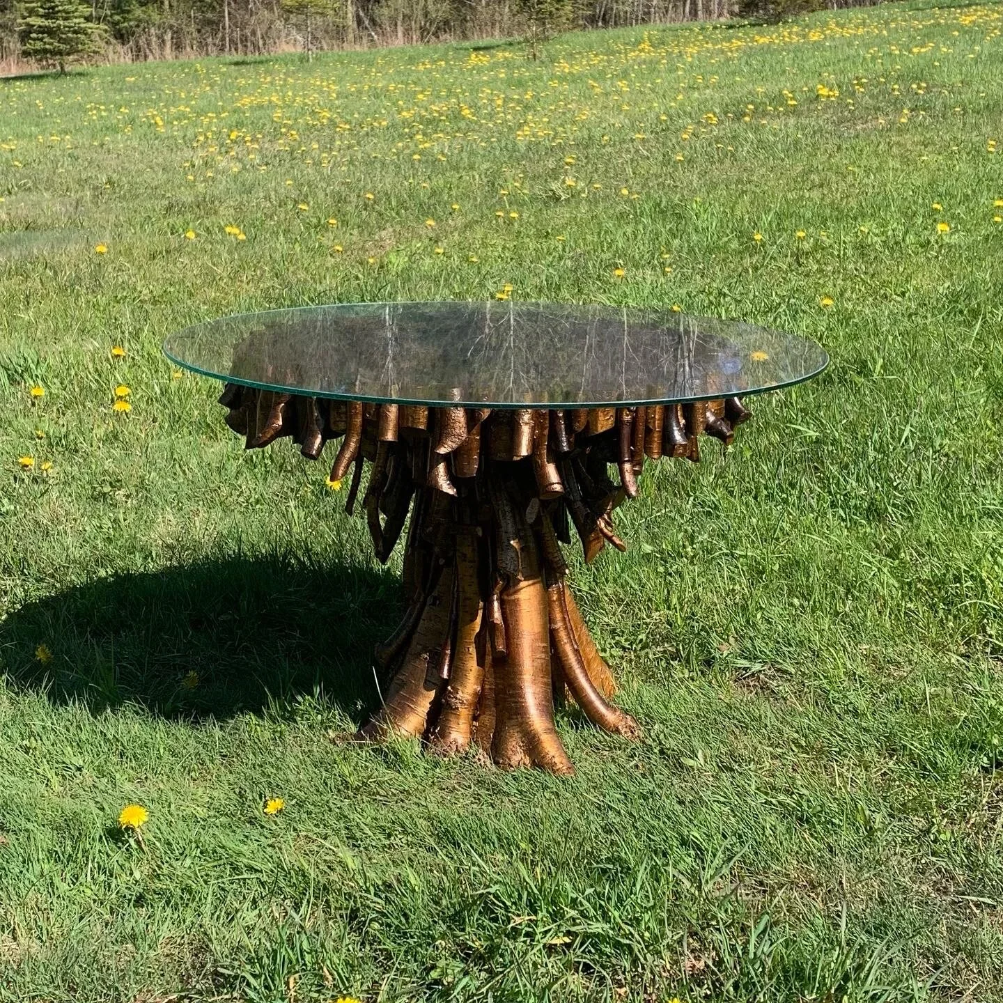 42F171B5-BAA3-4DE0-B9F4-84B39F16F7B2