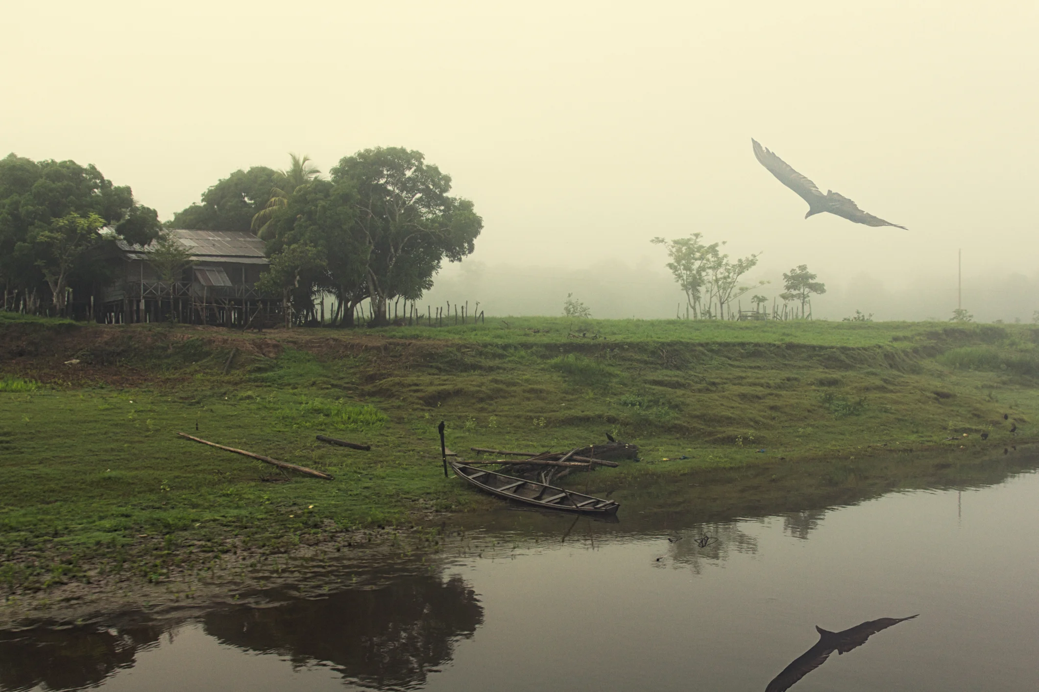 Mission — Amazonia Wealth Management