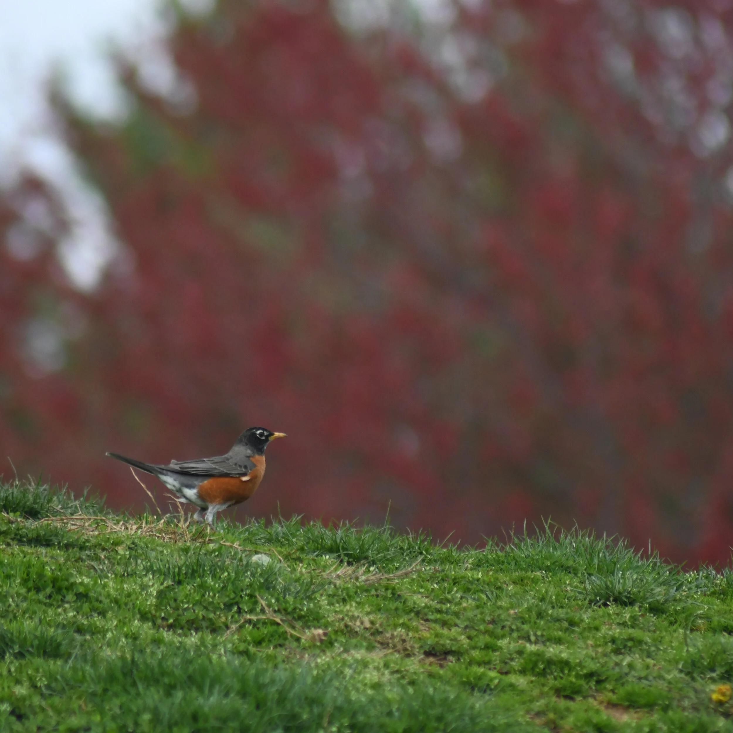 DSC_1159.jpg