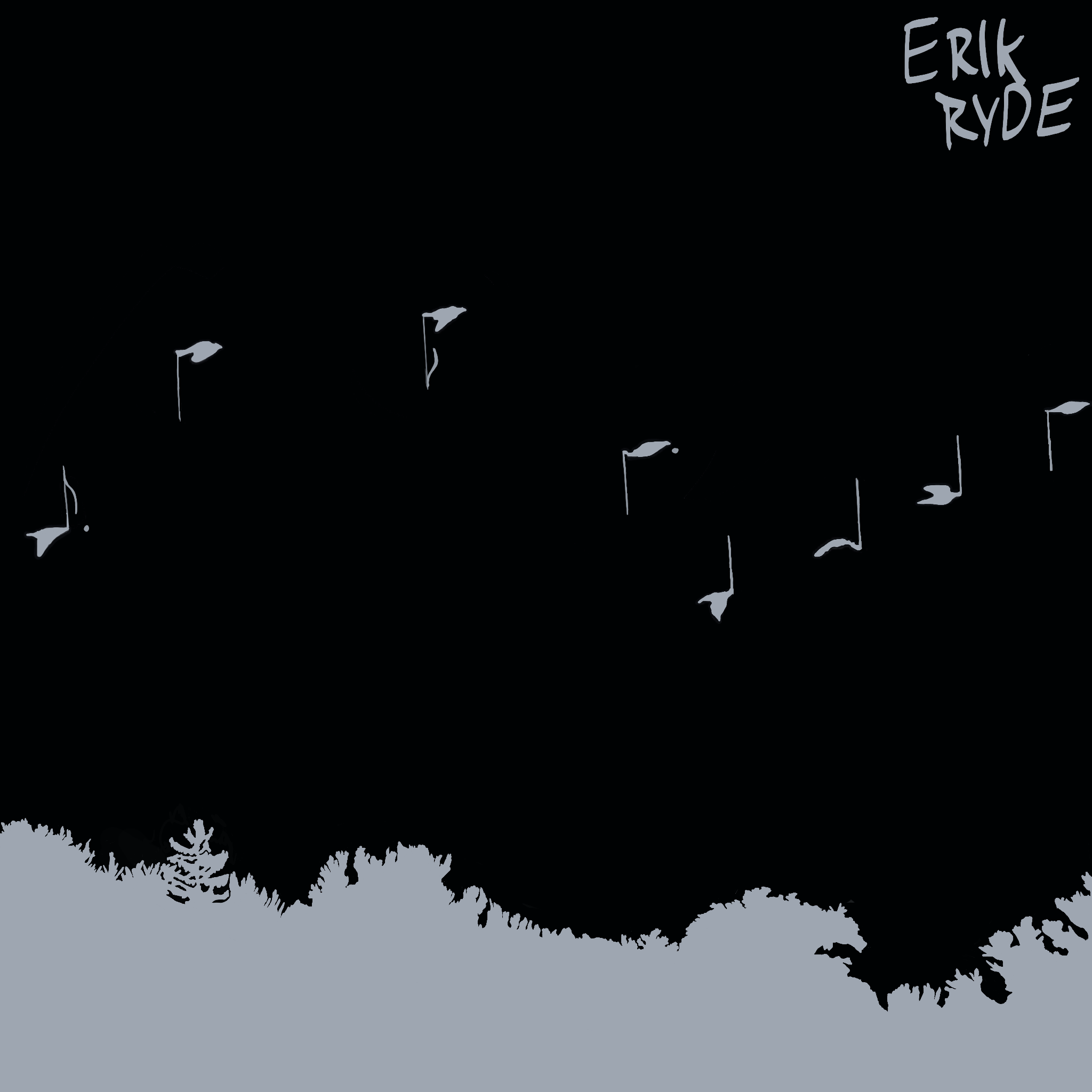 The Great Bird Conspiracy