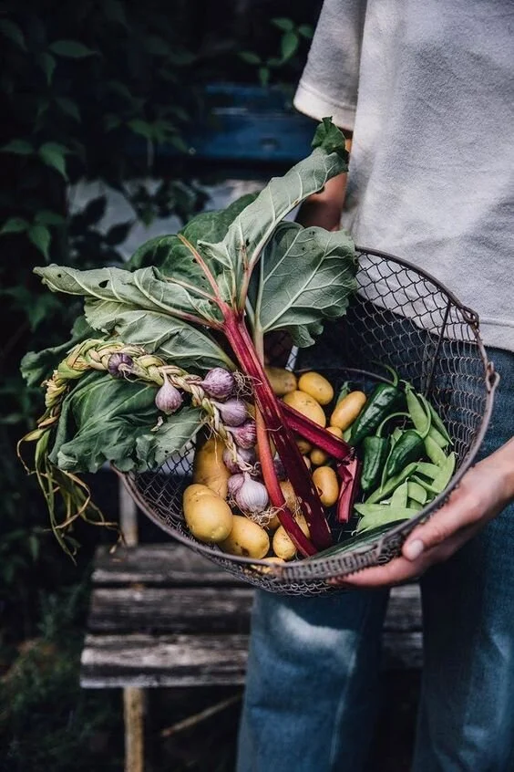 How many vegetables can you name?