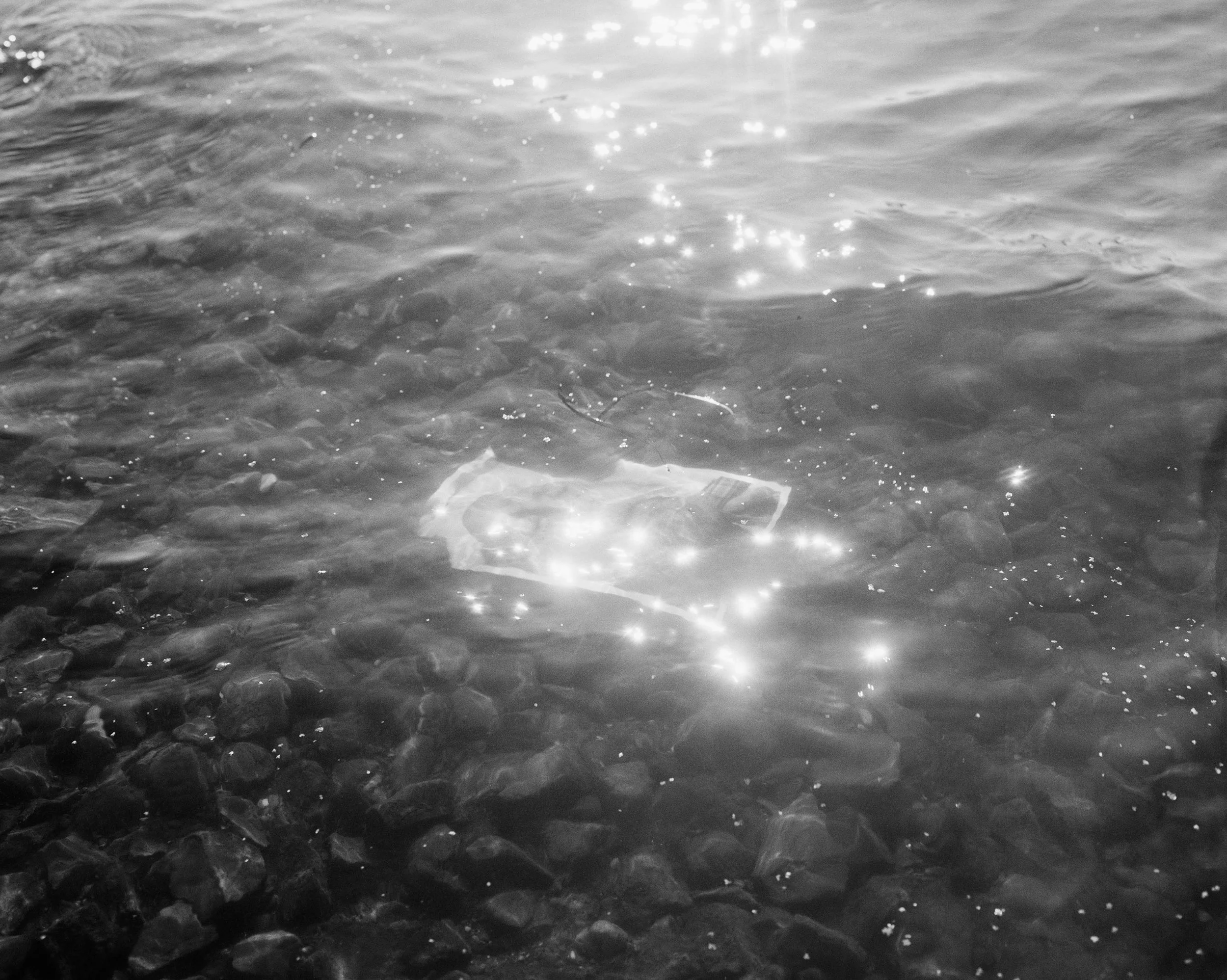 4x5 Negative August 2017