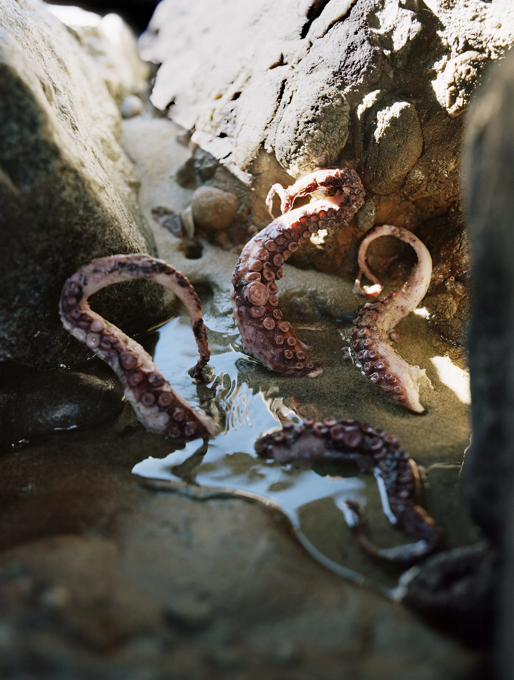 A canal and a cavity