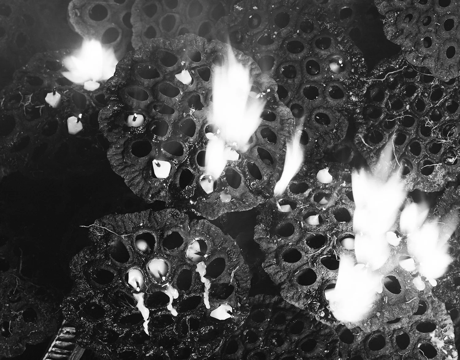 Fires (let the mosquitos populate your skin)