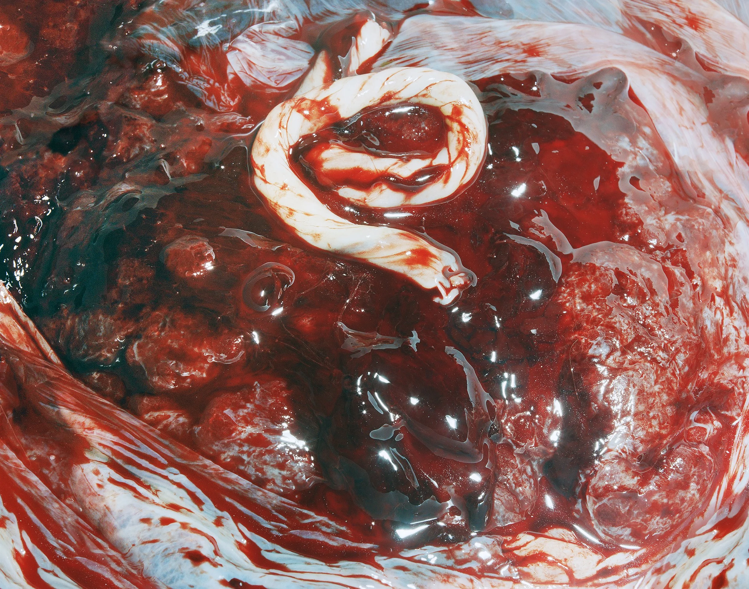 abyssal FULLBLESs.jpg