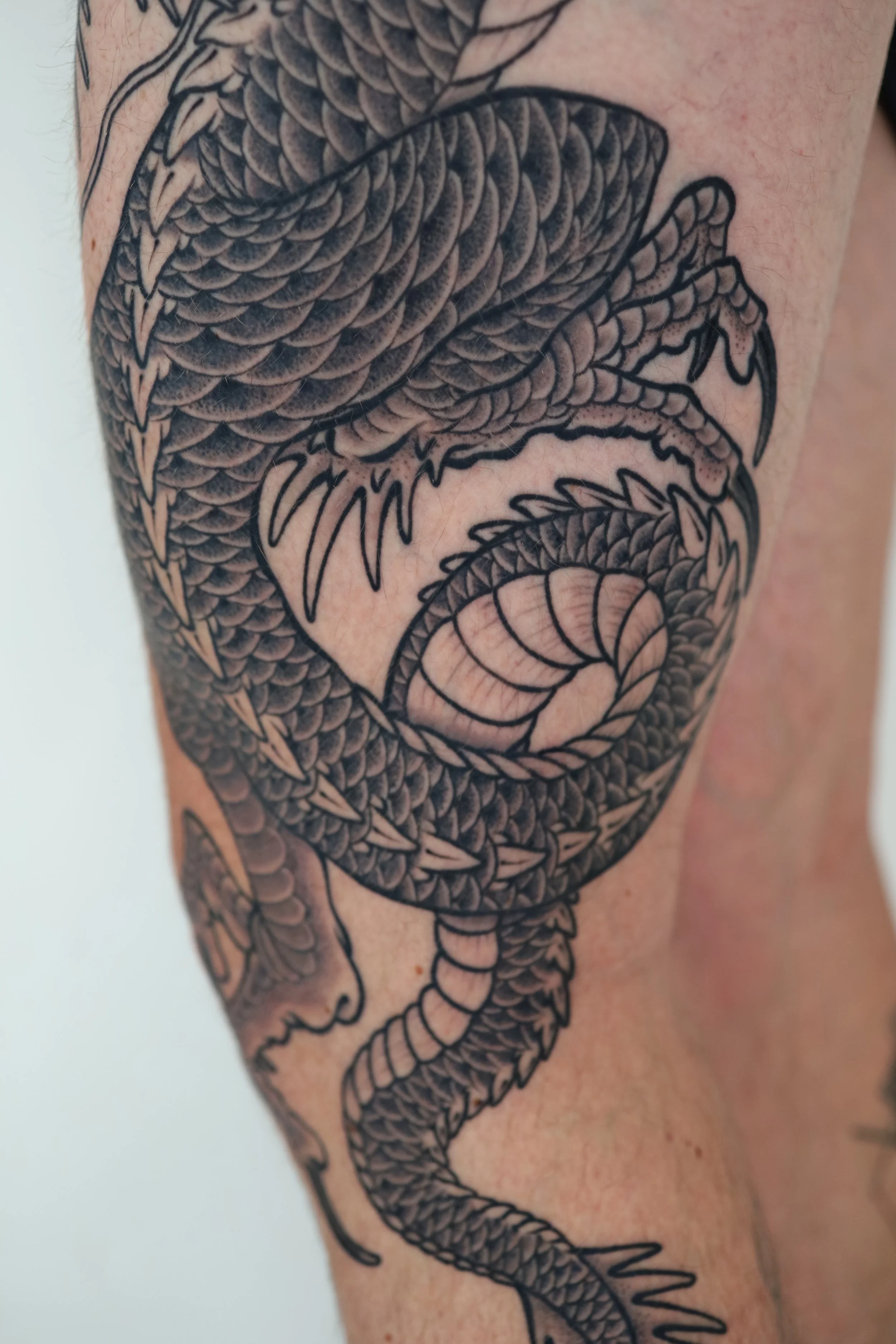 Black and gray tattoo of a dragon curling around a person's arm, featuring detailed scales, sharp claws, and a fierce expression.