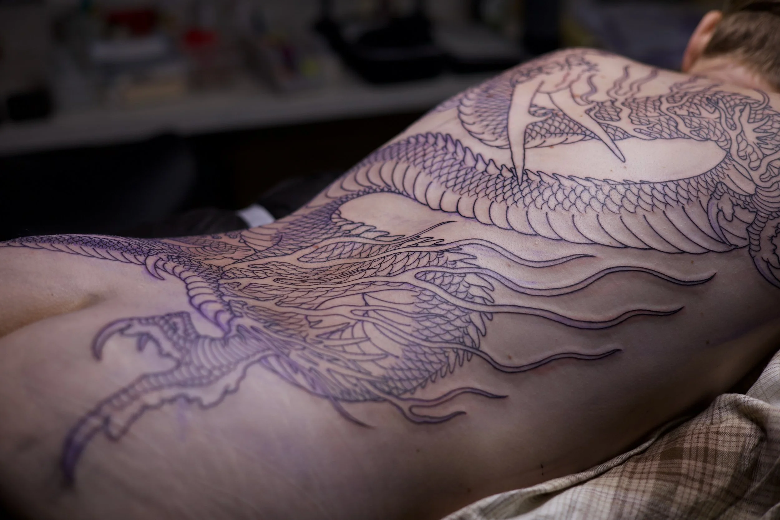 A person's back with a large dragon tattoo outline in purple ink, showing detailed scales, claws, and flowing lines.