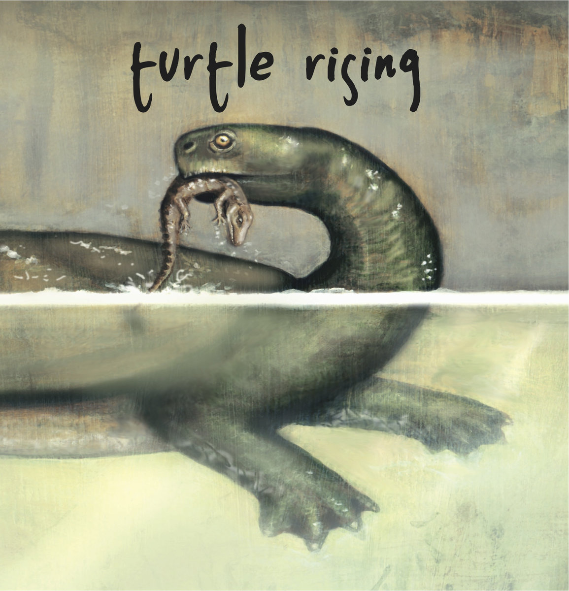 turtle rising - st.jpg