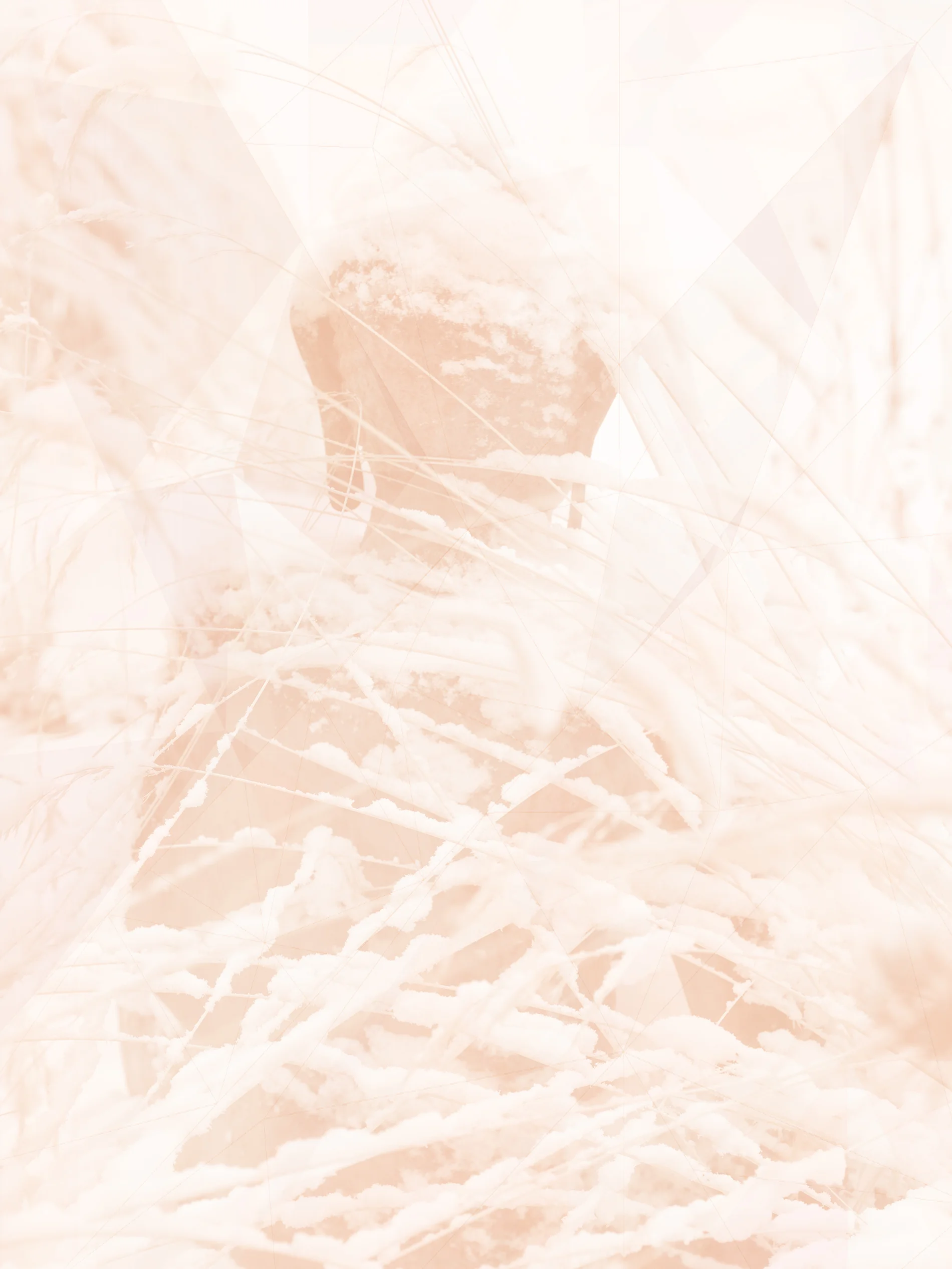 buddha-snow-010067-edit.jpg