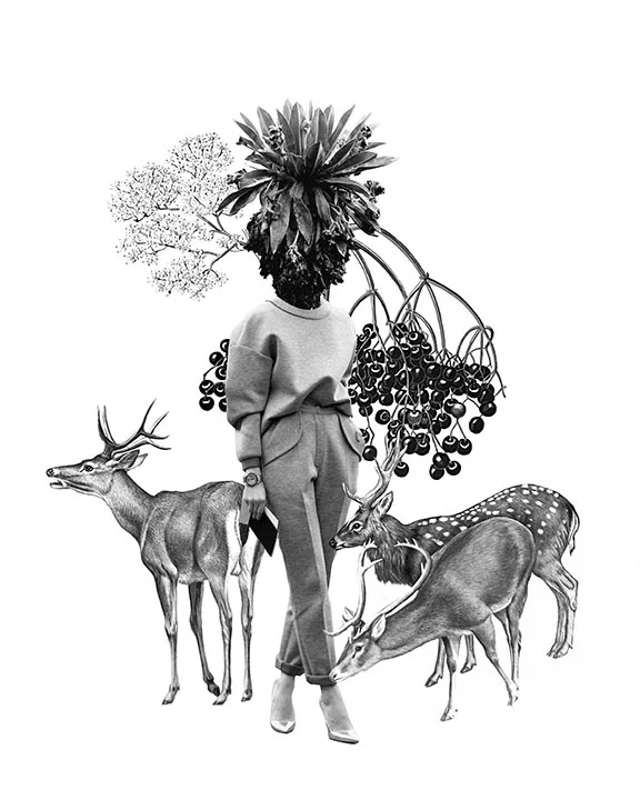 4_frailejon_web.jpg