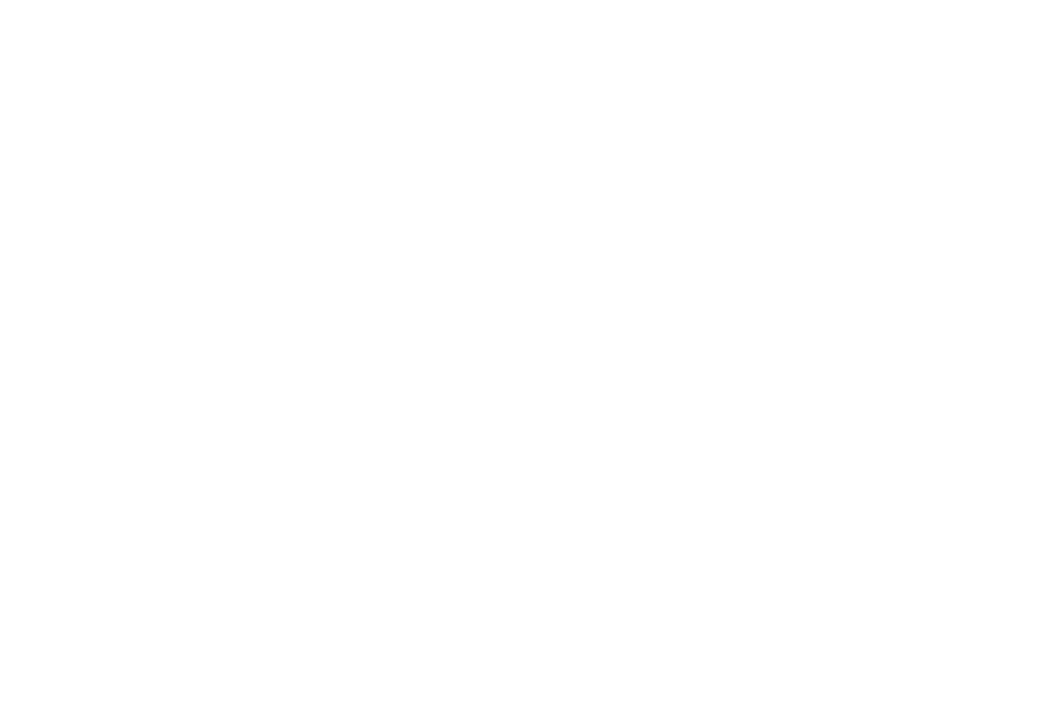 Hamburg BurgerFest