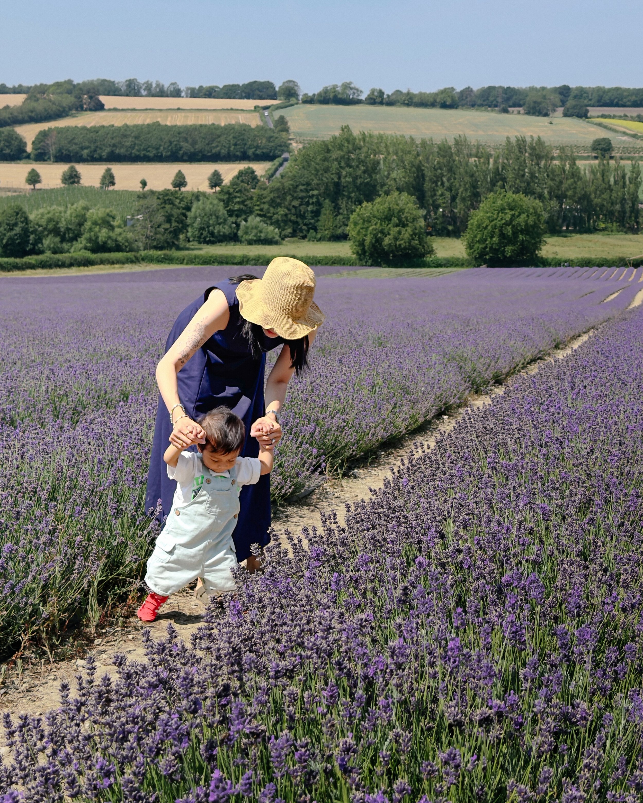 Took bhaji to the lavender fields for his first time. Toddling around and more interested in the dirt ground than the lavenders though!

There&rsquo;s plenty to enjoy on site at @castlefarmkent - weekend food truck, coffee carts, local farm shops. Gr