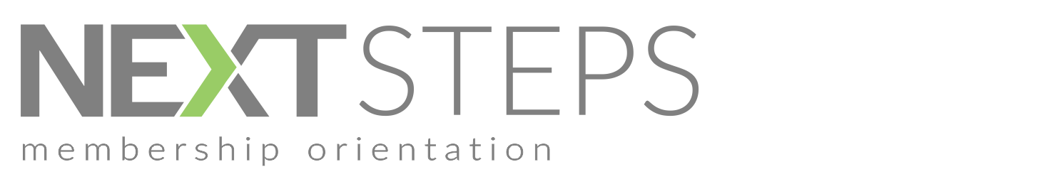 NEXT STEPS LOGO 5.png